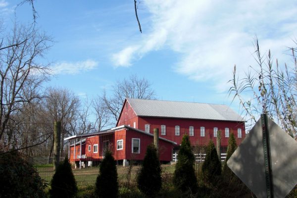 Obscenic Arts Studio and Barn outside grounds